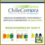Bolsa Ecológica ID: 1224171