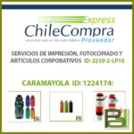 CARAMAYOLA ID: 1224174