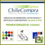 Promocional ID: 1224202