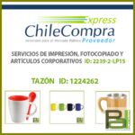 Tazón ID: 1224262